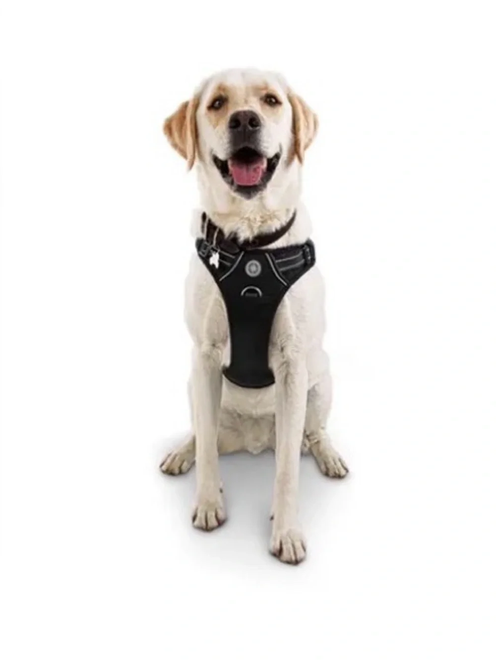 NWT Every Yay Black Embrace the Pace Front Walking Dog Harness - Size XL/XXL